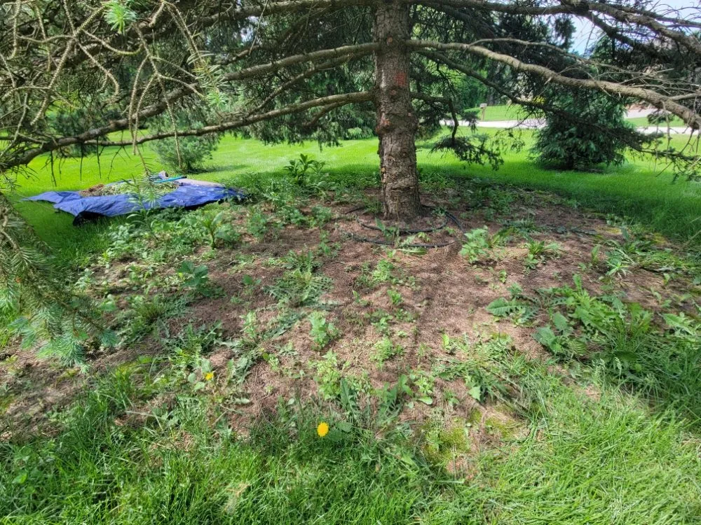 Expert outdoor landscaping in West Chicago, IL by MZ Landscaping