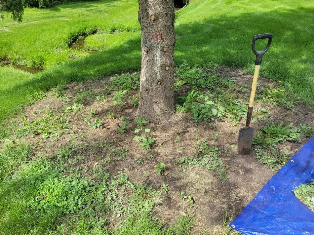 Local landscaping services experts serving West Chicago, IL - MZ Landscaping