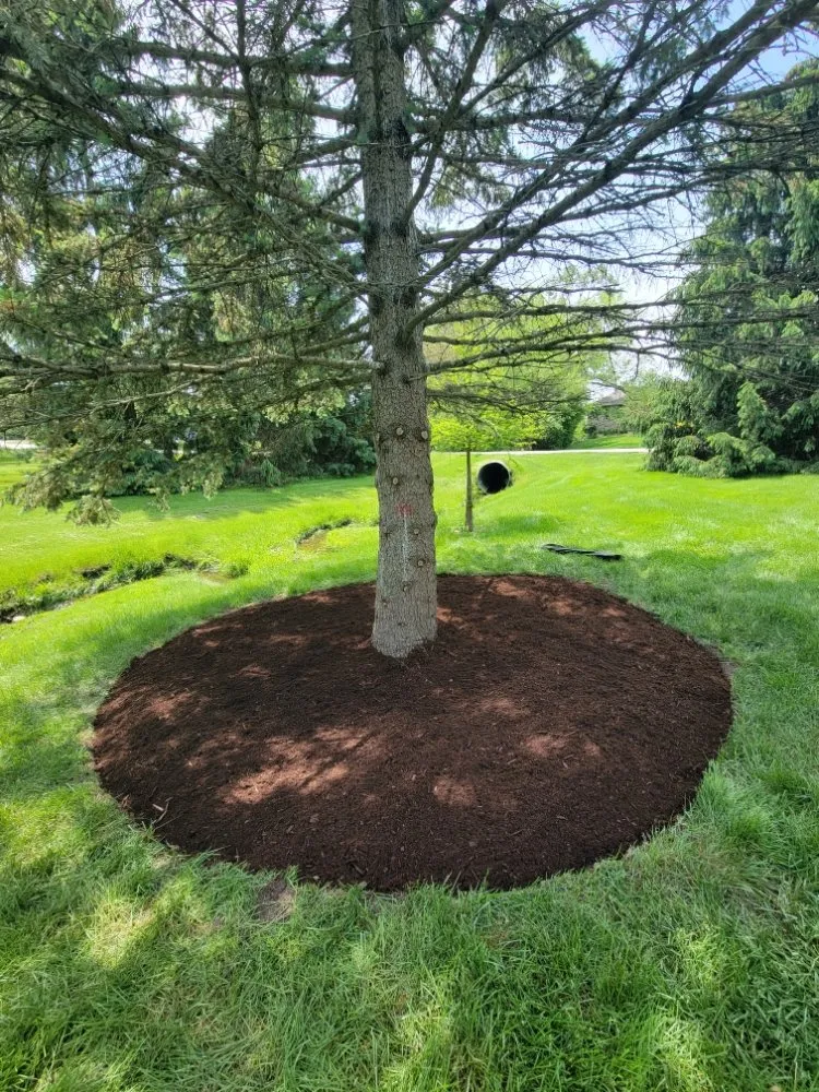 Professional lawn care service in West Chicago, IL - MZ Landscaping