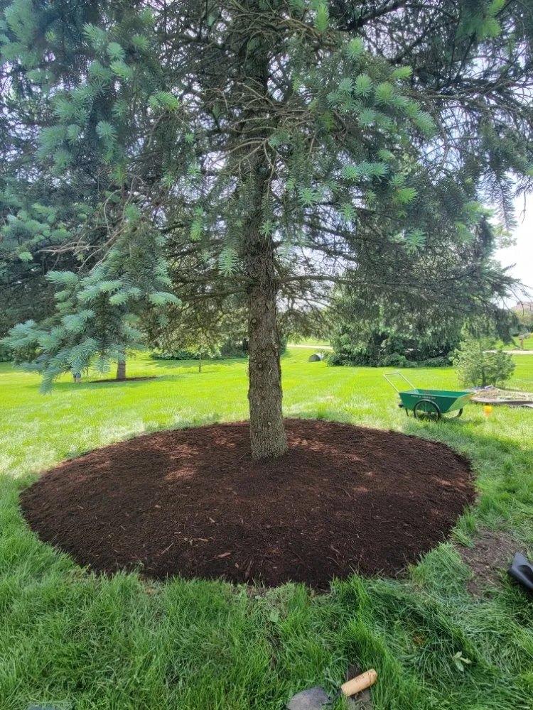 Reliable lawn care service for residential properties in West Chicago, IL by MZ Landscaping