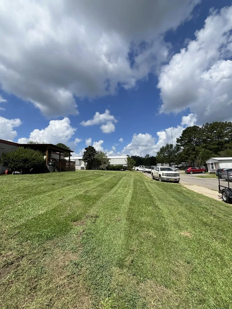 Professional yard cleanup service in Hattiesburg, MS - MZ Lawn Care