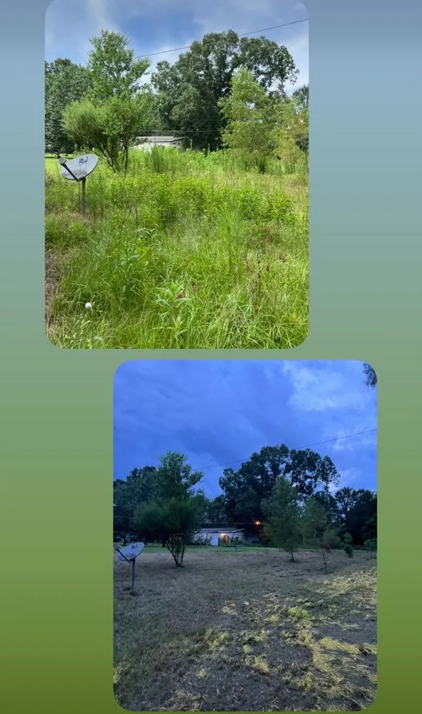 Trusted lawn care service for outdoor upgrades in Hattiesburg, MS by MZ Lawn Care