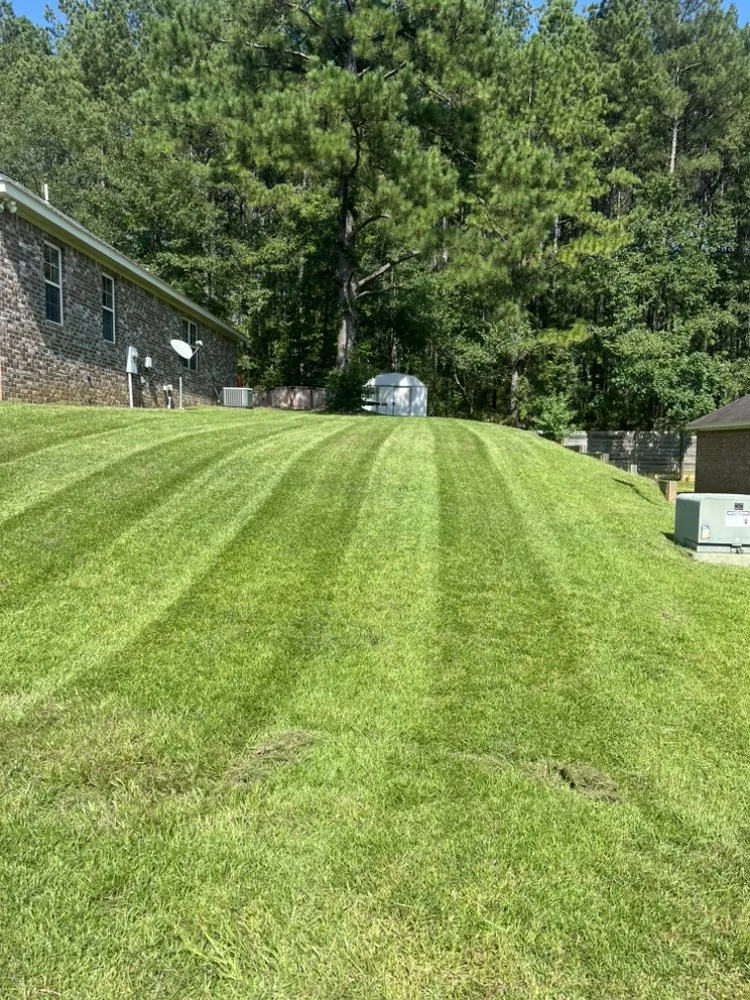 Expert lawn mowing service experts serving Hattiesburg, MS - MZ Lawn Care