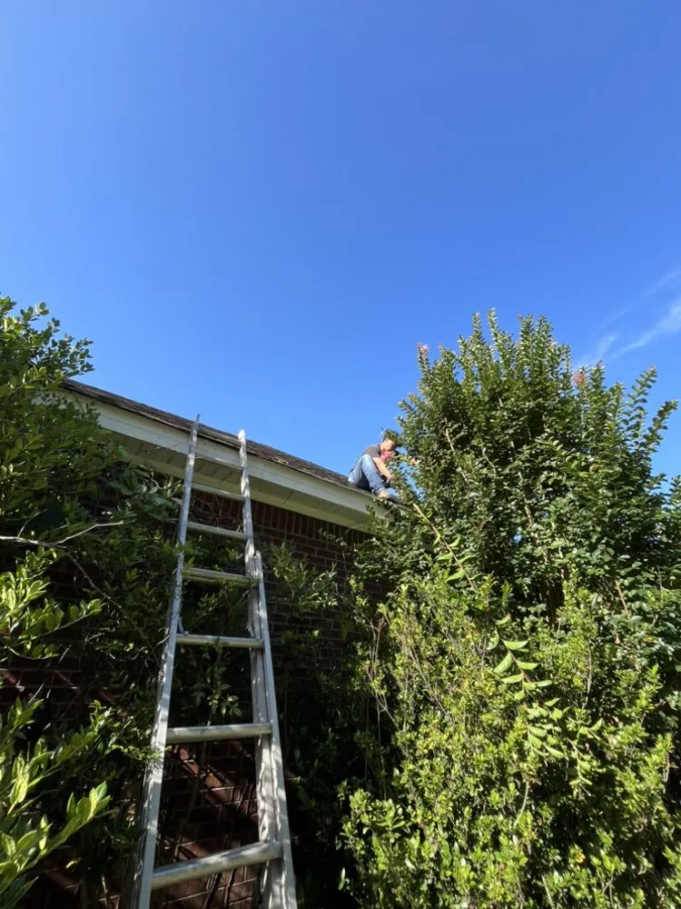 Custom landscape design in Hattiesburg, MS by MZ Lawn Care