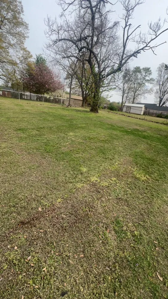 Affordable yard cleanup service for year-round maintenance across Easley, SC - M&Z Lawncare and Pressure Washing