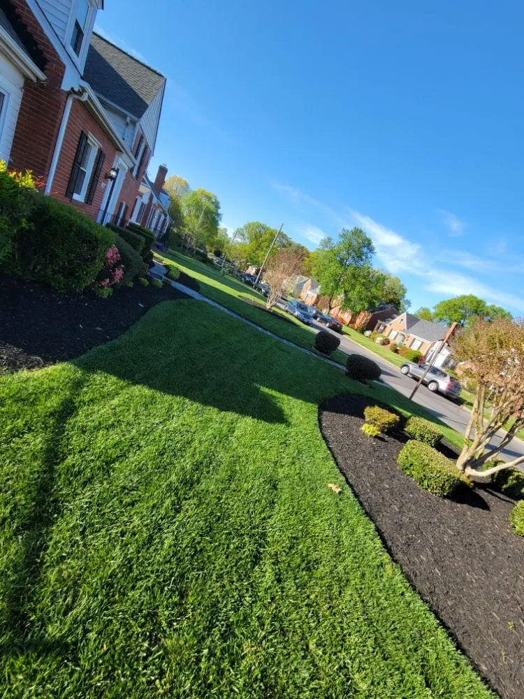 Local lawn care service for homes across Richmond, VA - MZ Lawncare Service