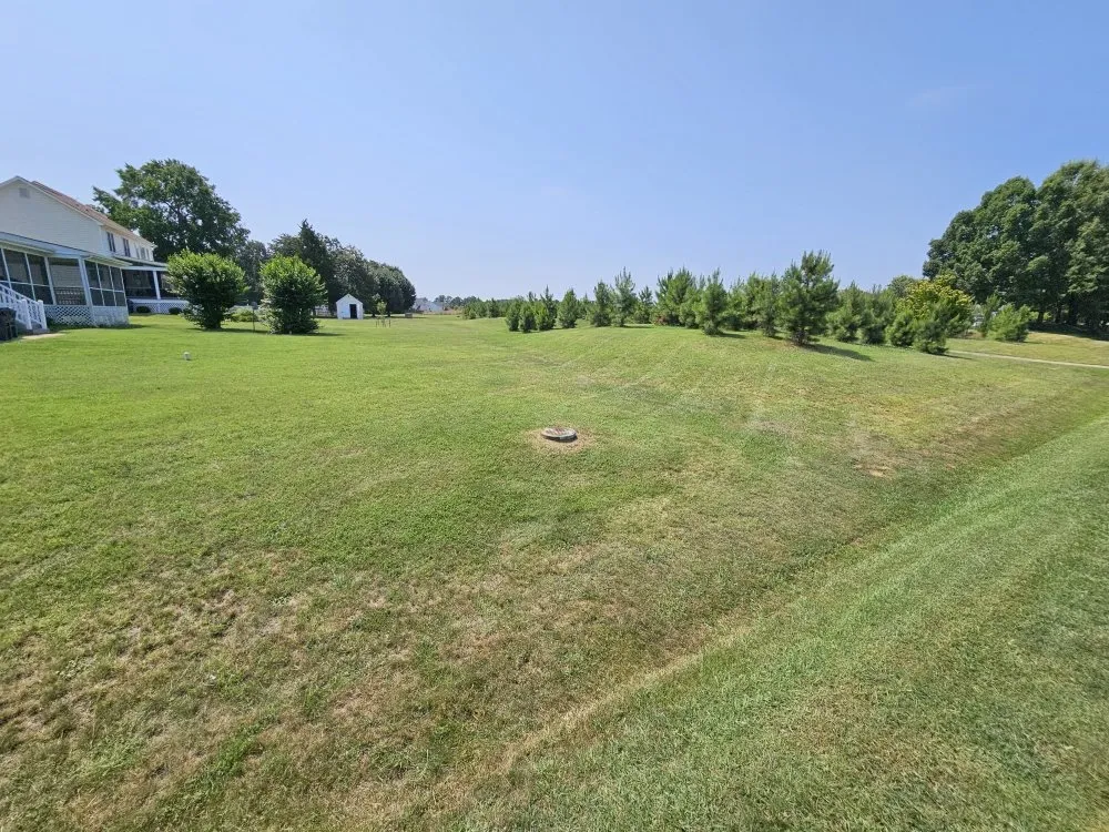 Reliable lawn mowing service near you in Richmond, VA by MZ Lawncare Service