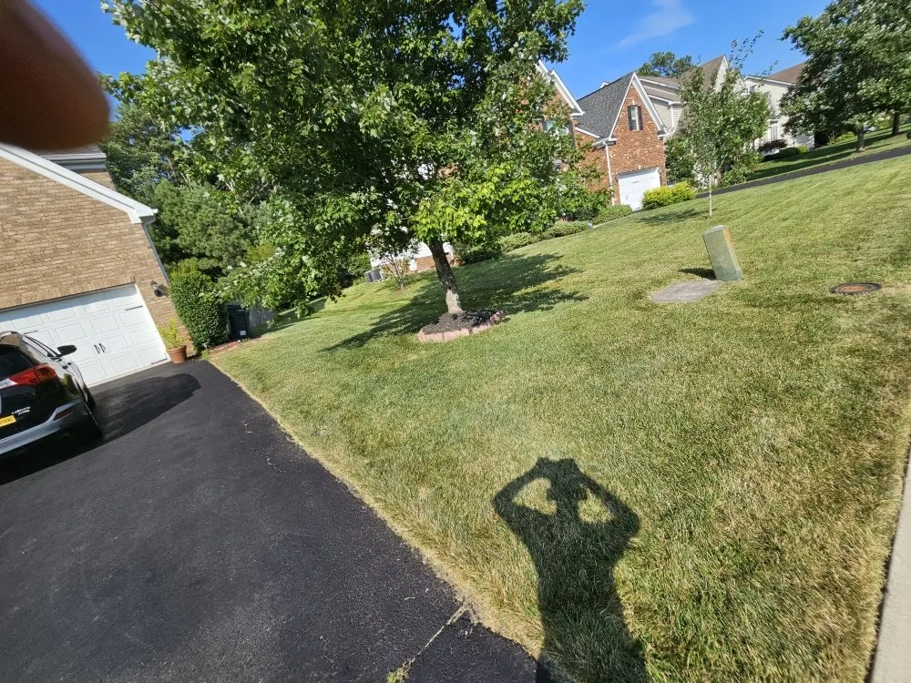 Custom landscape design experts serving Richmond, VA - MZ Lawncare Service