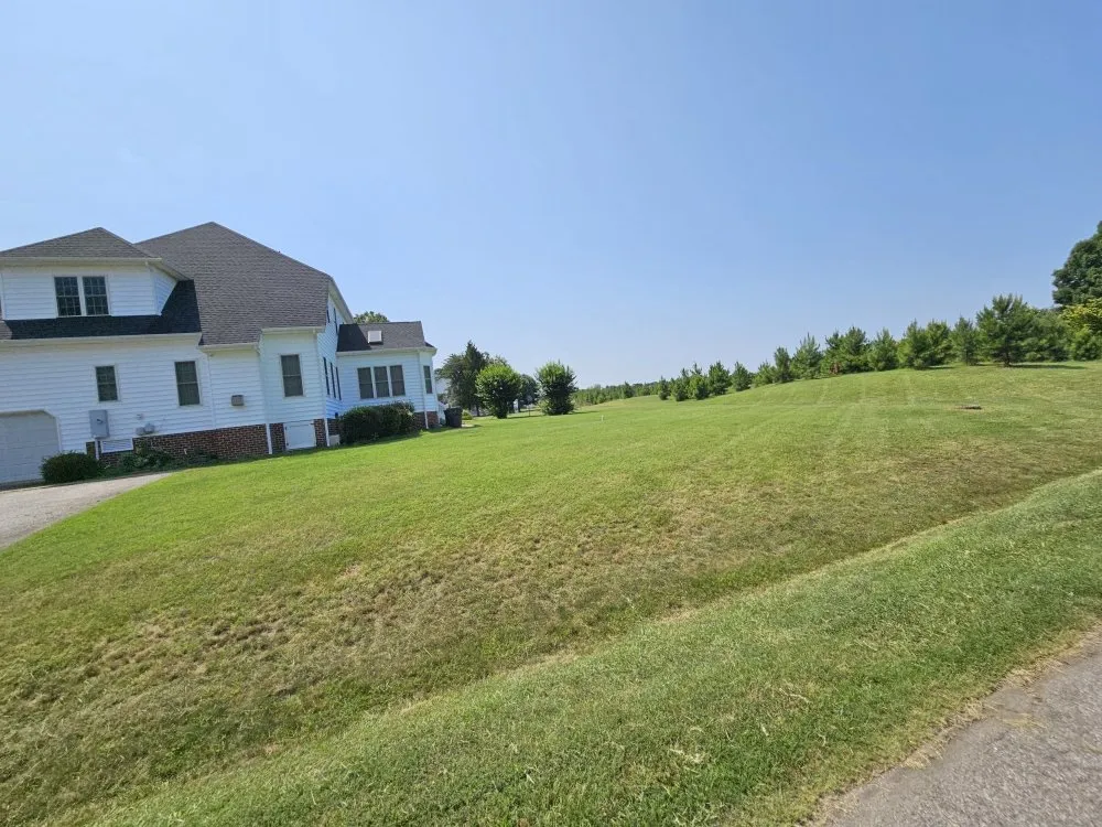 Custom lawn mowing service experts serving Richmond, VA - MZ Lawncare Service