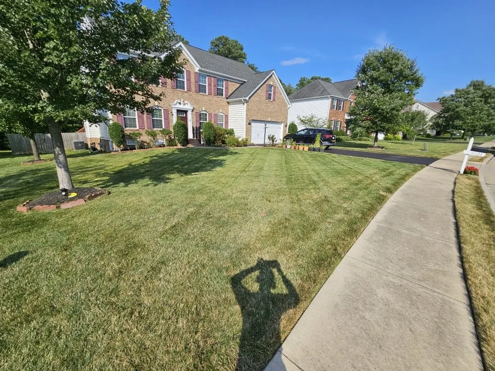 Reliable landscape installation for residential properties in Richmond, VA by MZ Lawncare Service