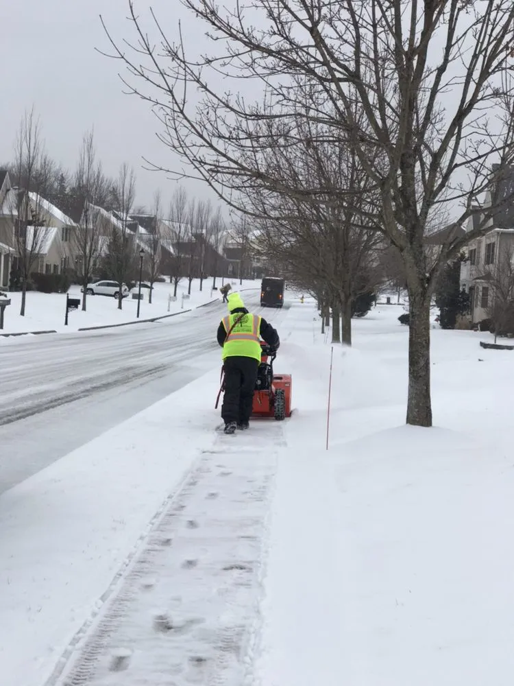 Top-rated yard cleanup service for beautiful yards across Allentown, PA - M&Z Seasonal Landscaping