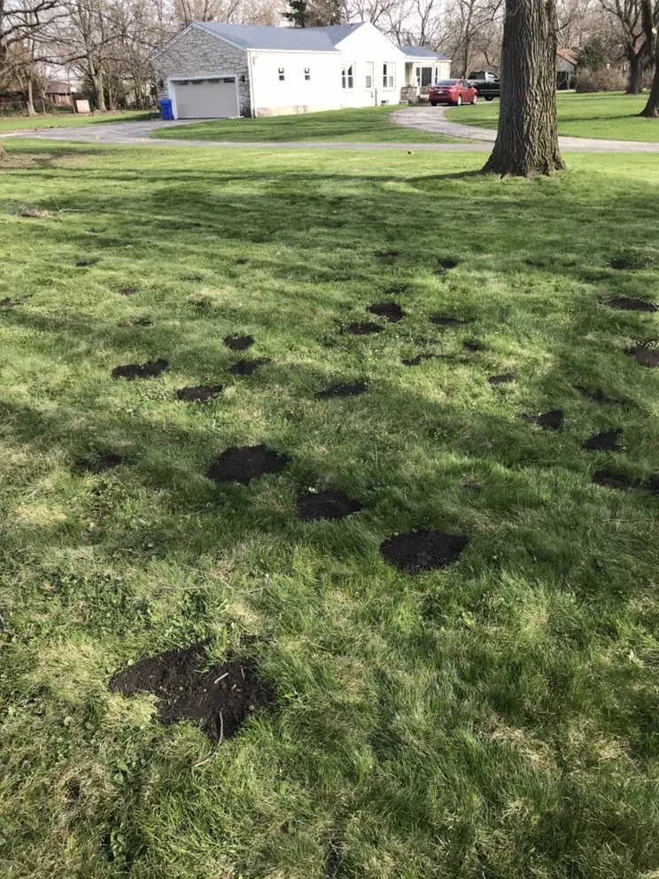 Expert outdoor landscaping in Dyer, IN - M&Z Services