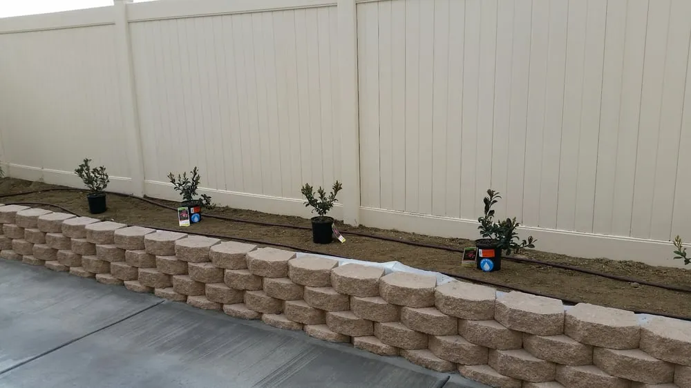 Custom yard cleanup service in Temecula, CA by Mz Vasquez Landscaping