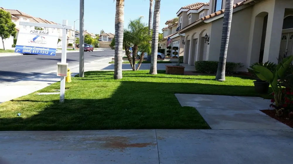 Custom lawn mowing service in Temecula, CA - Mz Vasquez Landscaping