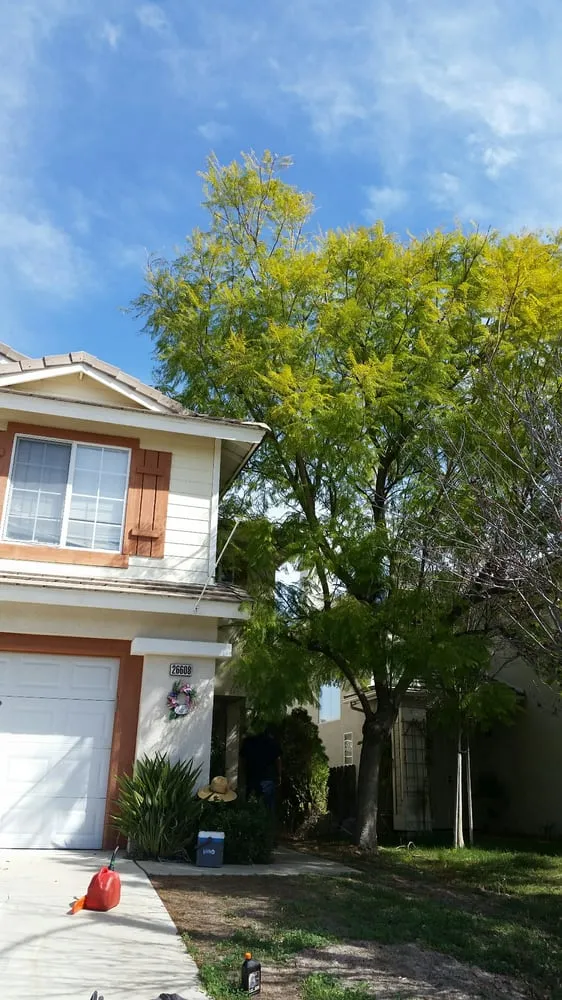 Trusted landscaping services in Temecula, CA - Mz Vasquez Landscaping