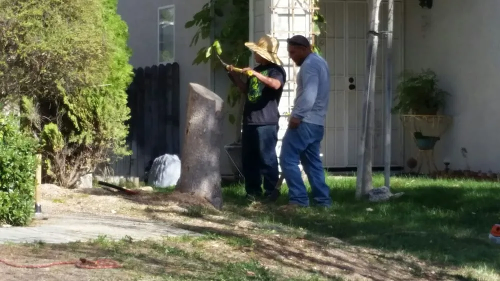 Professional landscape design experts serving Temecula, CA - Mz Vasquez Landscaping