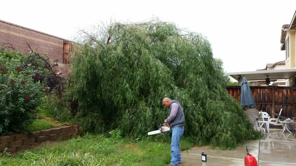 Reliable lawn care service in Temecula, CA - Mz Vasquez Landscaping