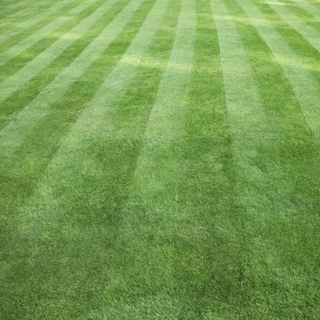 Trusted landscape design in Sioux Falls, SD - MZL Lawncare