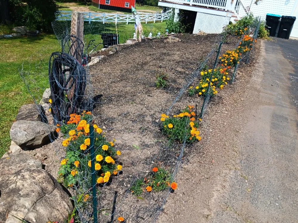 Reliable yard cleanup service in Hermitage, PA by N & D Lawn Maintenance