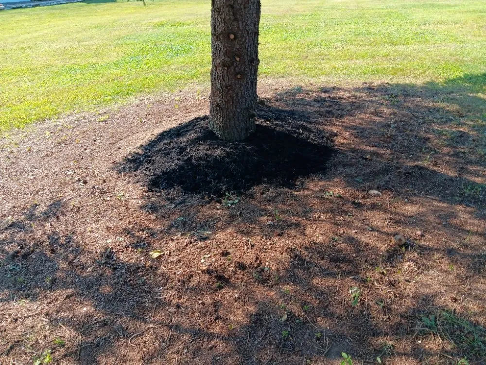 Local garden landscaping for outdoor upgrades in Hermitage, PA by N & D Lawn Maintenance