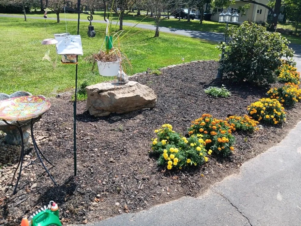 Reliable yard cleanup service near you across Hermitage, PA - N & D Lawn Maintenance