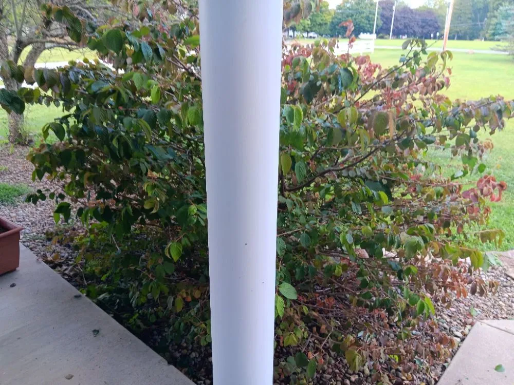 Professional yard cleanup service for homes in Hermitage, PA by N & D Lawn Maintenance