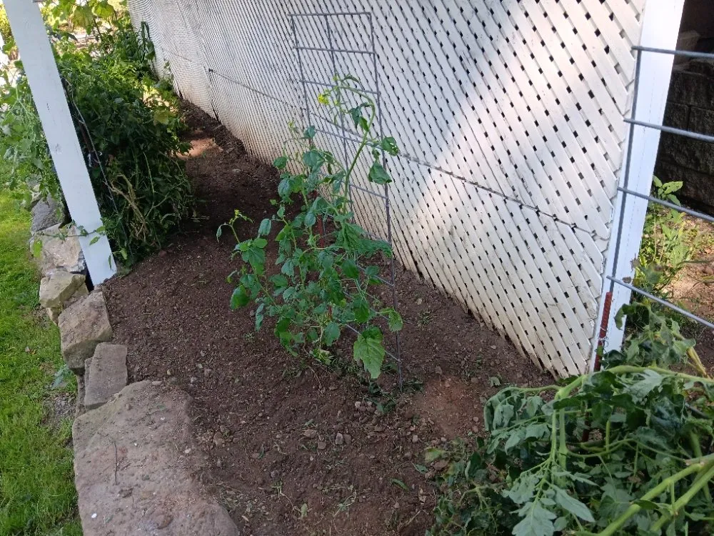 Top-rated yard cleanup service in Hermitage, PA by N & D Lawn Maintenance