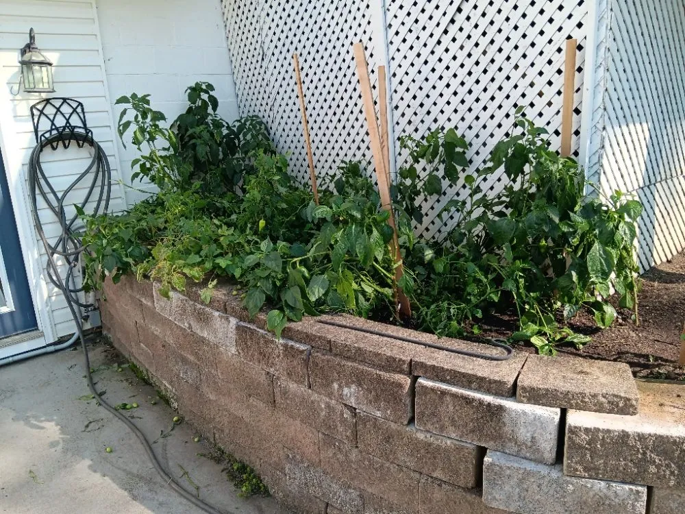 Top-rated yard maintenance in Hermitage, PA - N & D Lawn Maintenance