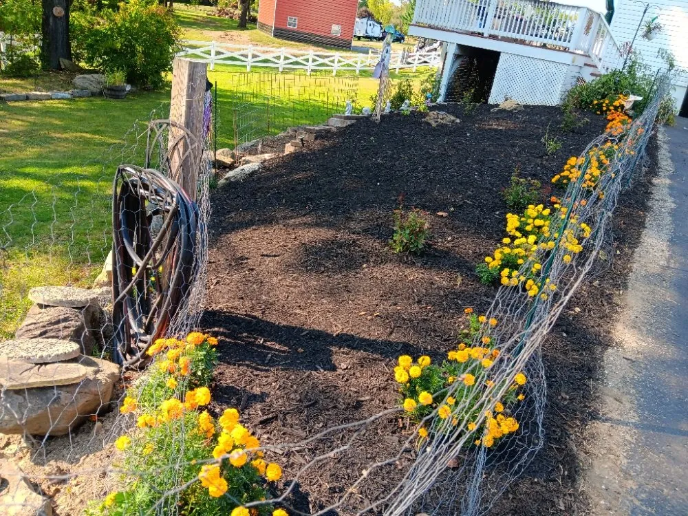 Top-rated lawn care service experts serving Hermitage, PA - N & D Lawn Maintenance