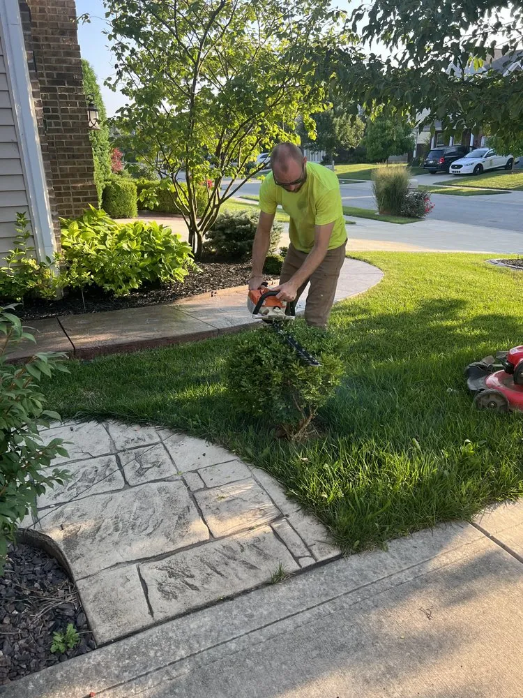 Professional landscaping services in McCordsville, IN by N & E Outdoor Services