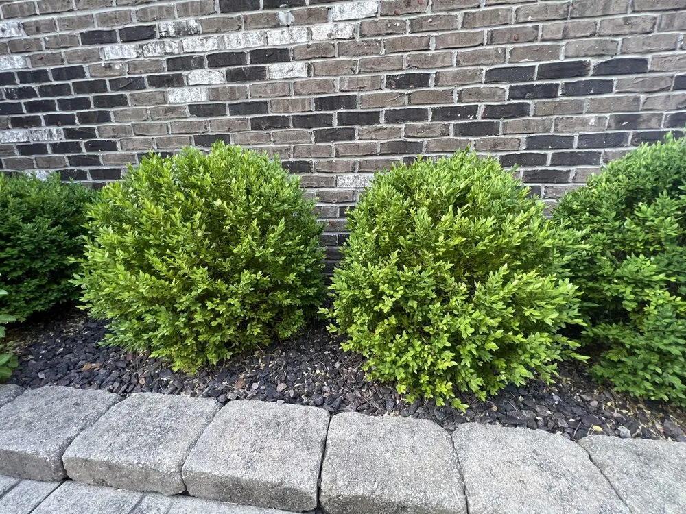 Trusted landscape design experts serving McCordsville, IN - N & E Outdoor Services