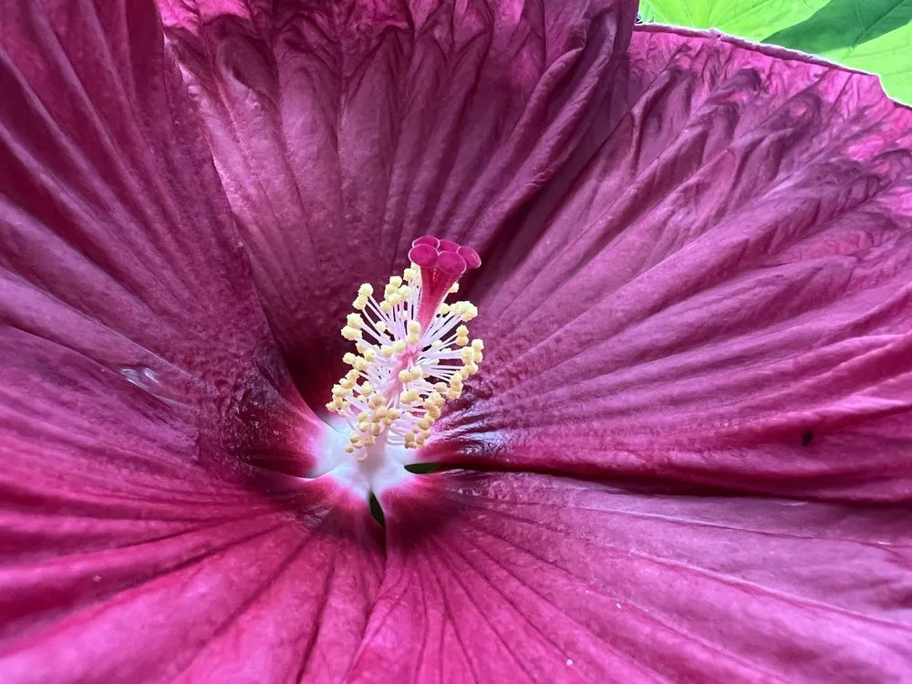 Affordable lawn care service experts serving McCordsville, IN - N & E Outdoor Services