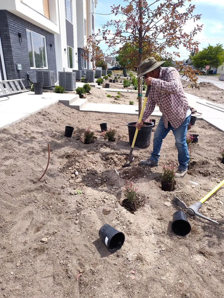 Reliable yard maintenance for year-round maintenance across Hyde Park, UT - N & J Lawn Care