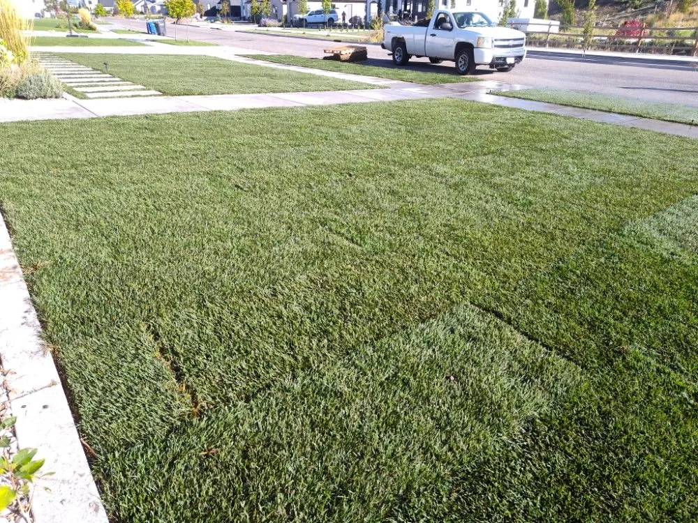 Custom outdoor landscaping in Hyde Park, UT by N & J Lawn Care