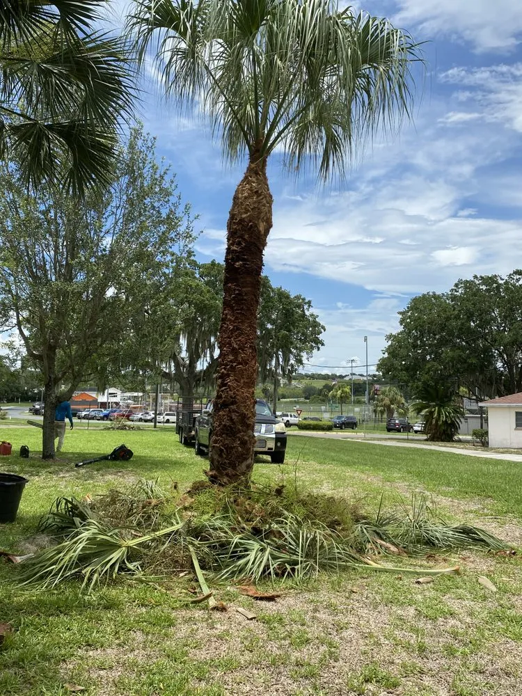 Affordable lawn mowing service for year-round maintenance in Lake Wales, FL by N & N Florida Services