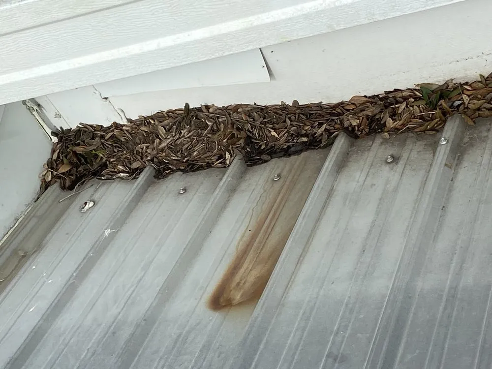 Reliable yard cleanup service with custom design in Lake Wales, FL by N & N Florida Services