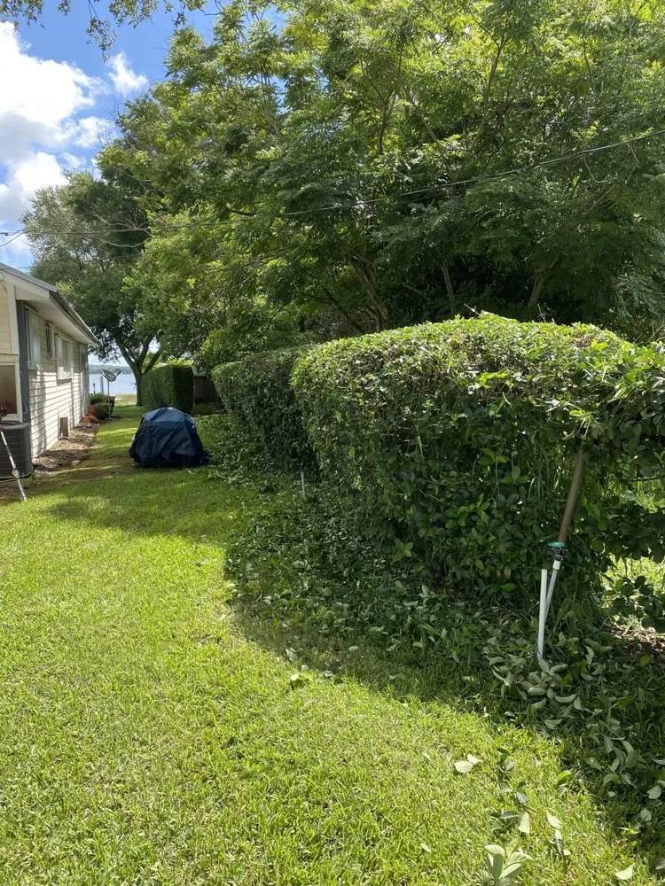 Reliable residential landscaping for homes in Lake Wales, FL by N & N Florida Services