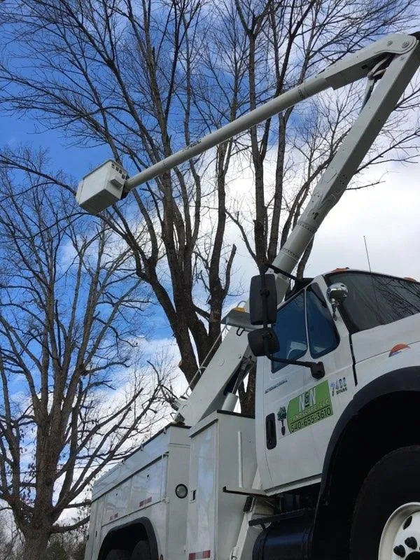 Local yard cleanup service in Bedford, VA - N & N Tree Service and Mowing