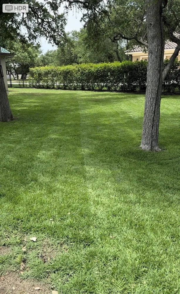 Local landscape design for year-round maintenance in Marion, TX by N & Out Landscaping
