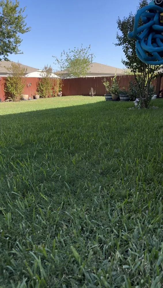 Reliable yard cleanup service experts serving Marion, TX - N & Out Landscaping