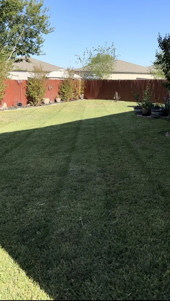 Custom yard maintenance in Marion, TX by N & Out Landscaping