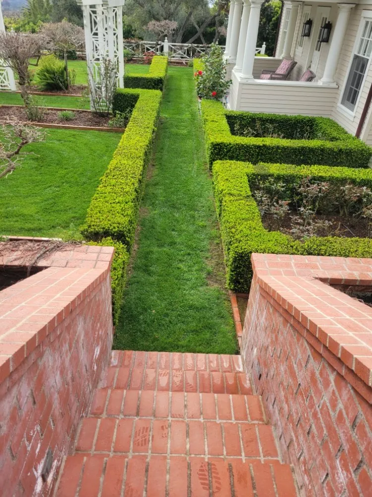 Local yard cleanup service for outdoor upgrades across Lompoc, CA - N & S Landscaping Maintenance