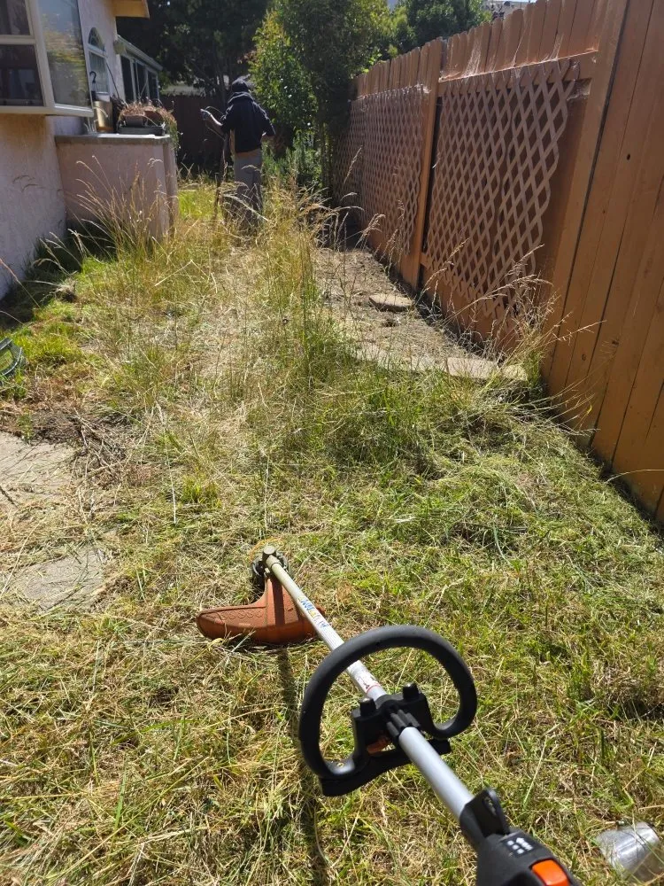 Expert landscape installation experts serving Lompoc, CA - N & S Landscaping Maintenance