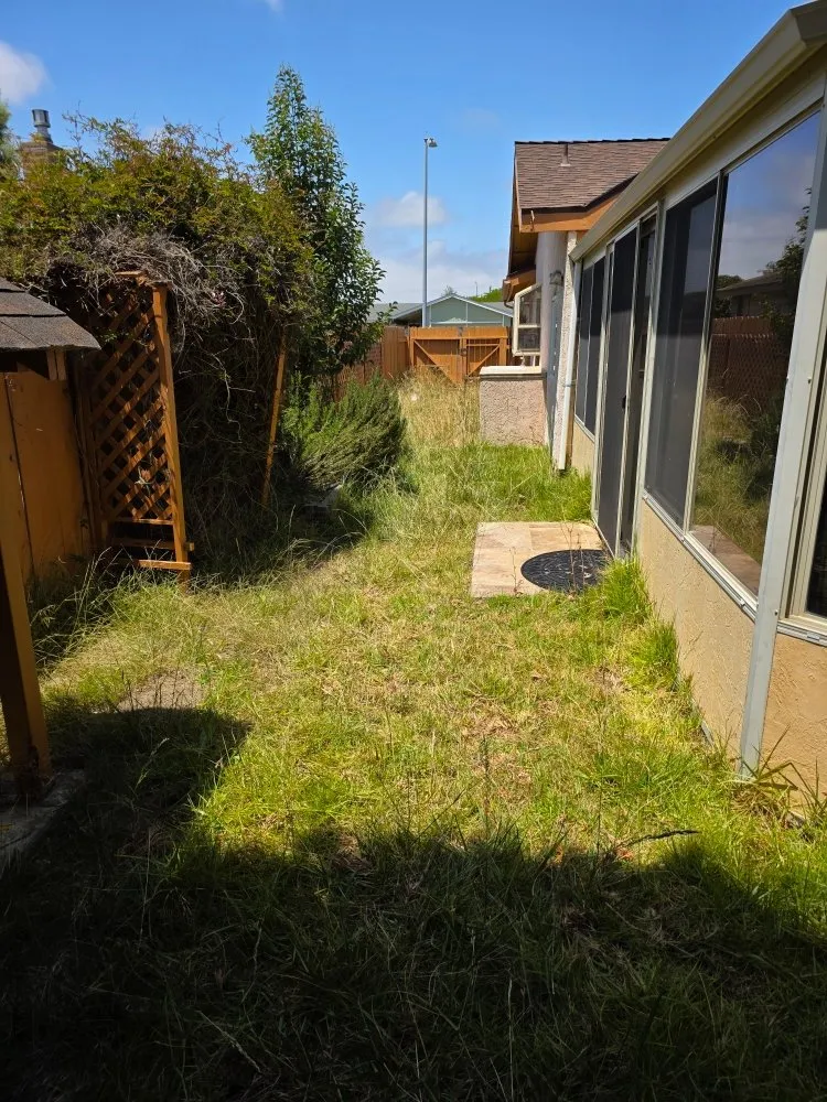 Professional yard cleanup service in Lompoc, CA - N & S Landscaping Maintenance