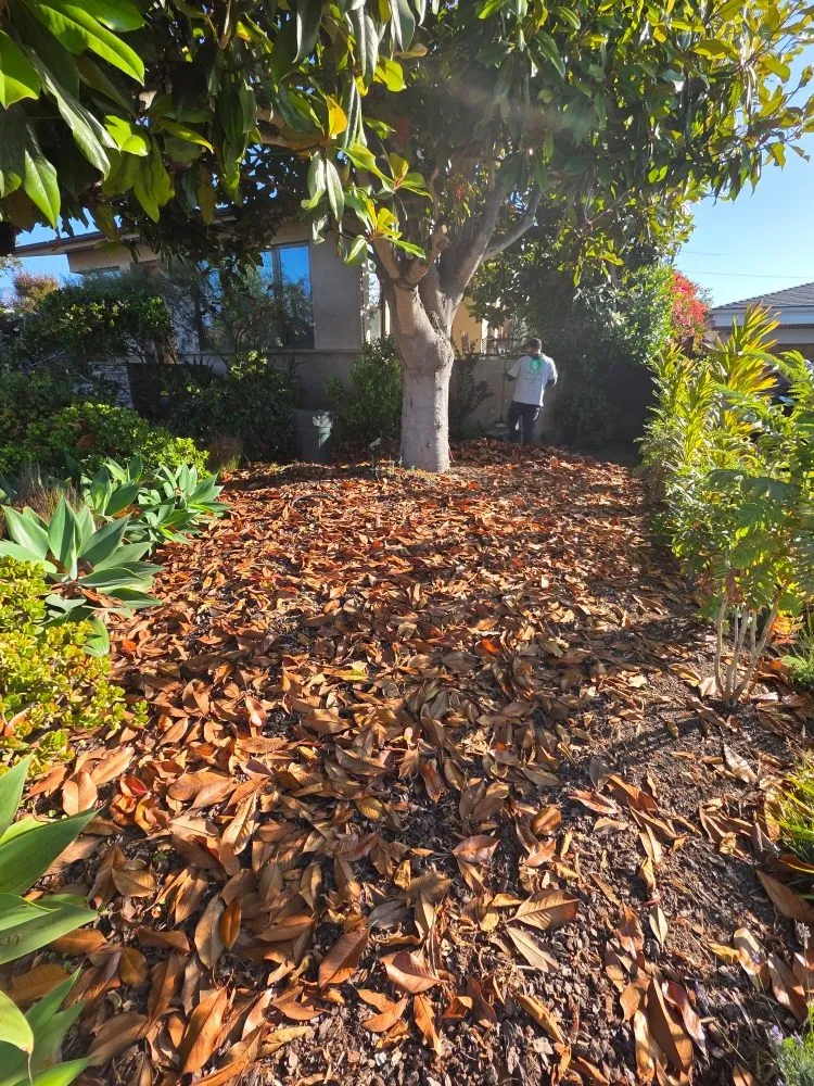 Expert lawn mowing service for homes in Lompoc, CA by N & S Landscaping Maintenance