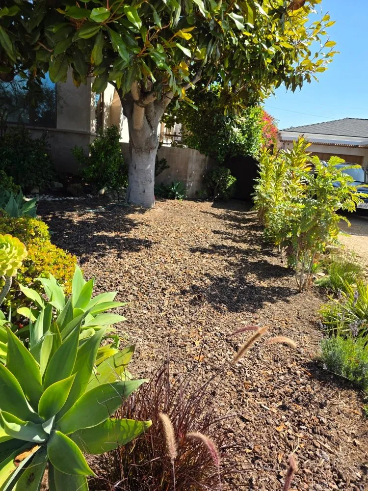 Top-rated outdoor landscaping for homes across Lompoc, CA - N & S Landscaping Maintenance