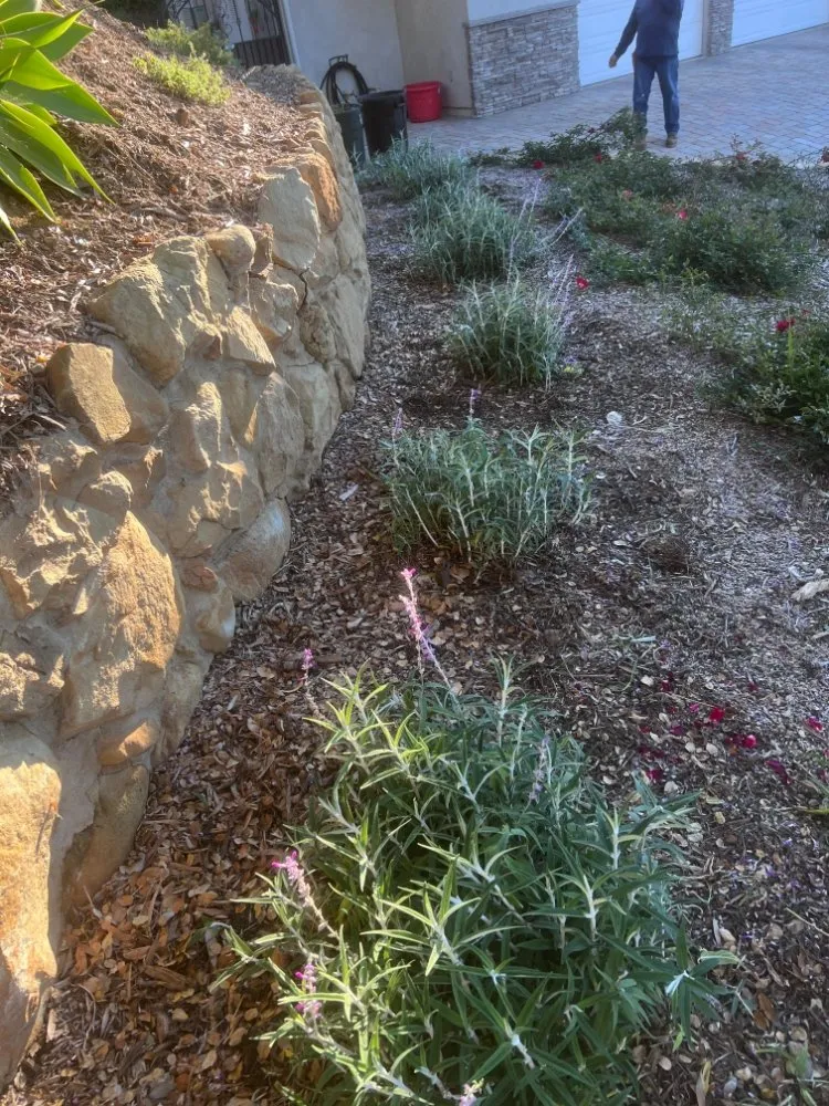 Expert landscape design experts serving Lompoc, CA - N & S Landscaping Maintenance
