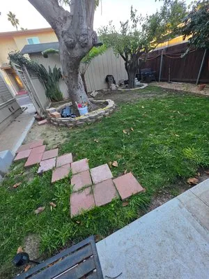 N & S Landscaping Maintenance