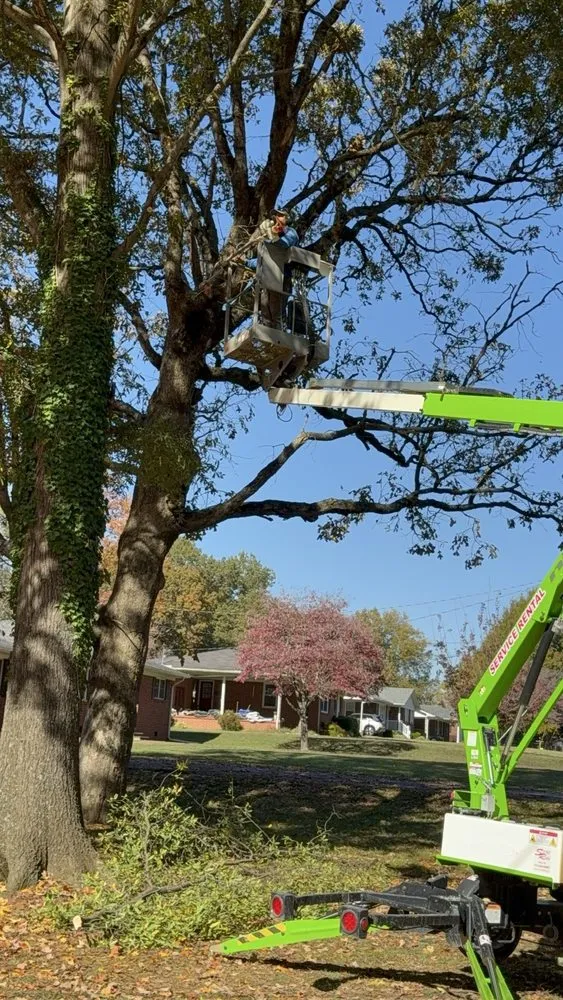 Expert lawn care service experts serving McKenzie, TN - N & S Landscaping Service