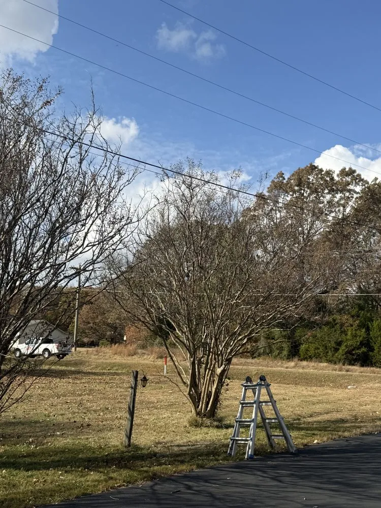 Expert landscape design in McKenzie, TN - N & S Landscaping Service